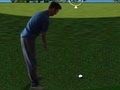 Гульня Flash Golf 3D