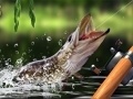 Гульня Morning catch