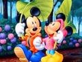 Гульня Mickey Love-HS