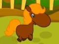 Гульня Pony Races
