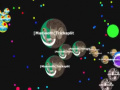 Гульня Gota. io 