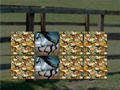 Гульня Horse Memo Deluxe