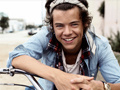 Гульня Harry Styles Spot the Difference