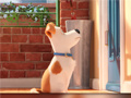Гульня Hidden Letters in The Secret Life of Pets