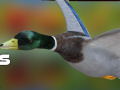 Гульня Duck Hunter Autumn forest 
