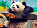 Гульня Animal Habitats: Find Items