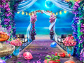 Гульня Wedding Photographer