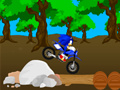 Гульня Cross Sonic Race 