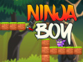 Гульня Ninja Boy