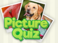 Гульня Picture Quiz