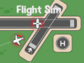 Гульня Flight Sim