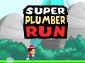 Гульня Super Plumber Run
