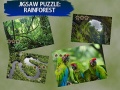 Гульня Jigsaw Puzzle Rain Forest 
