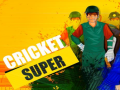 Гульня Super Cricket      