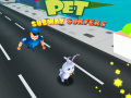 Гульня Pet Subway Surfers