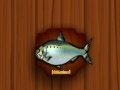 Гульня Amateur Action Super Fishing