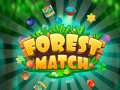 Гульня Forest Match