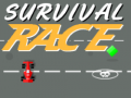 Гульня Survival Race