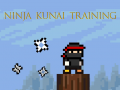 Гульня Ninja Kunai Training