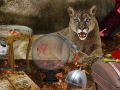 Гульня The Secrets of Felwood