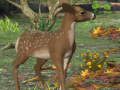 Гульня Spot The differences Spring in the Woods