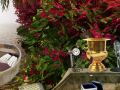 Гульня The Prize Winning Garden