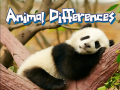 Гульня Animal Differences 