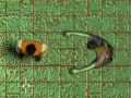 Гульня Maze Of Infection