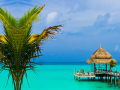 Гульня Tropical Paradise