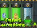Гульня Ttransmorpher