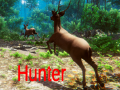 Гульня Hunter