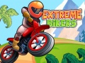 Гульня Extreme Bikers