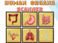 Гульня Human Organs Scanner