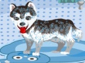 Гульня My Cute Dog Bathing