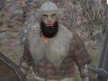Гульня Vikings Aggression