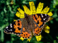 Гульня Jigsaw Puzzle: Spring