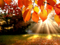 Гульня Jigsaw Puzzle: Autumn