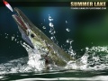 Гульня Summer Lake 1.5