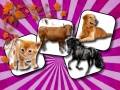 Гульня Domestic Animal Memory Challenge