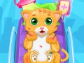 Гульня Little Cat Doctor