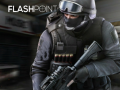 Гульня Flashpoint