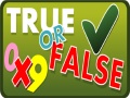 Гульня True or False