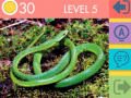 Гульня 15 Picture Quiz