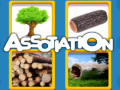 Гульня Assotiation 