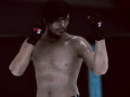 Гульня MFS: MMA Fighter