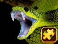 Гульня Snake Puzzle Challenge