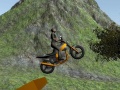 Гульня Dirt Bike Rider