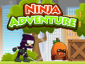 Гульня Ninja Adventure