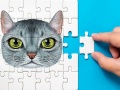 Гульня Abyssinian Puzzle Challenge