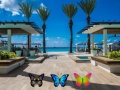 Гульня Find 100 butterflies